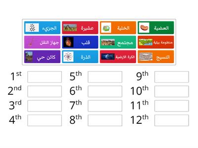 !!من الاكبر الى الاصغر