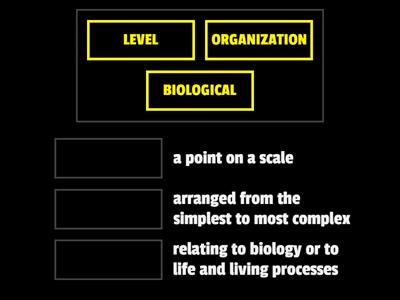 BIOLOGICAL LEVEL OF ORGANIZATION 