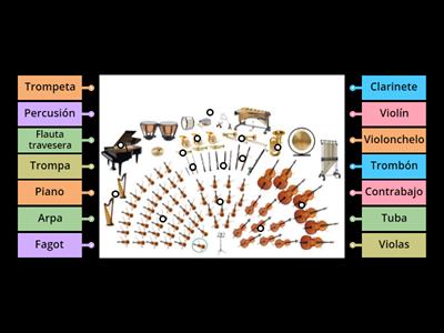 La orquesta y sus instrumentos musicales