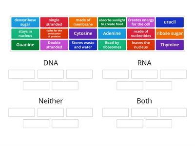 Compare/contrast DNA and RNA