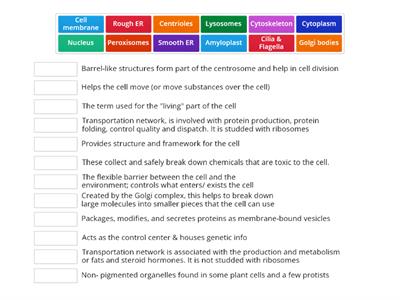 organelle matching