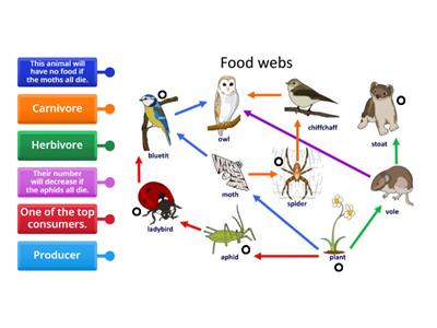 Nat 4 bio Food webs