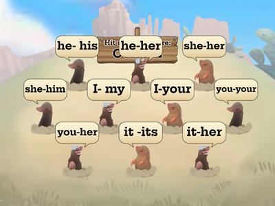 pronouns my your his her