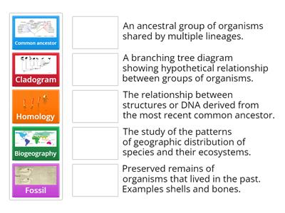 Evidence of Evolution Vocabulary