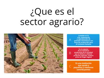 Sector Agrario