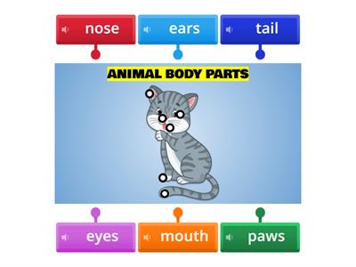 Animal Body Parts 1