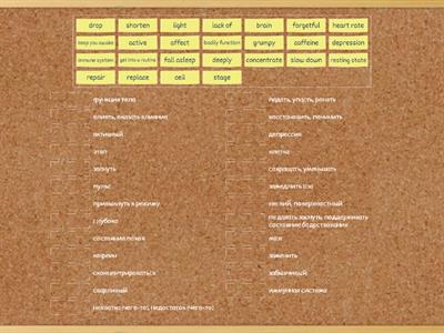 Starlight 7 4i Curriculum: PSHE