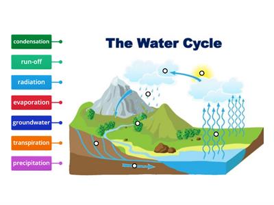 The water cycle 