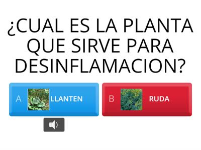 plantas medicinales 