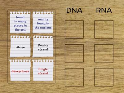 DNA vs RNA