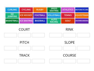 WHAT SPORTS ARE PLAYED ON A COURT/RINK/PITCH/SLOPE/TRACK/COURSE