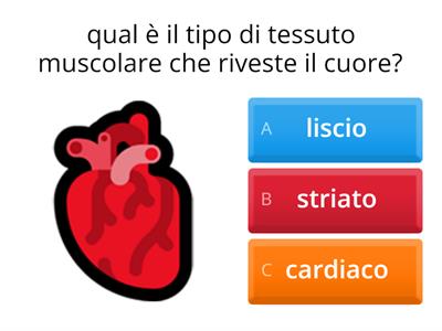 Il corpo umano SUPERVERIFICA