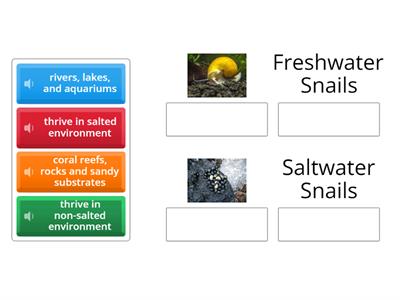 Saltwater Snails Vs Freshwater Snails