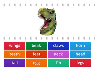 Dinosaur - vocabulary