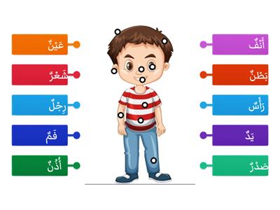 Anggota badan dalam Bahasa Arab 