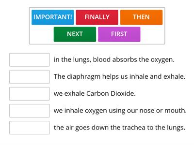 Respiration - Teaching resources