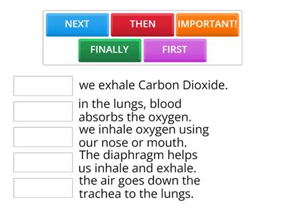 RESPIRATION PROCESS