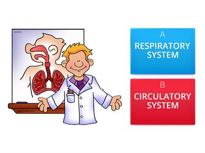Respiratory and circulatory system