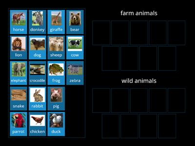 farm and wild animals