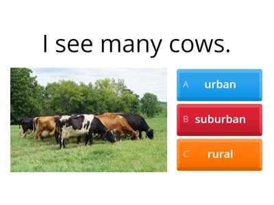 **Urban, Suburban, and Rural Communities