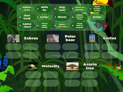 Traits of Animals and Plants