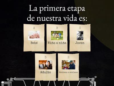 Las etapas de nuestra vida