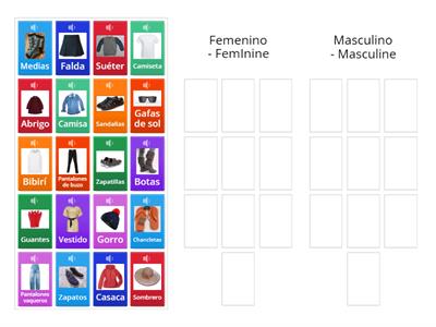 2 Ropa - Género (Masculino-Femenino)