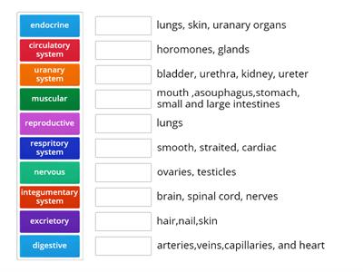 Body system match up." it helps in school"