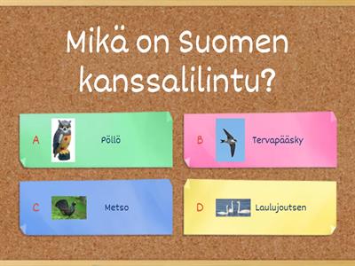 Suomi-visa