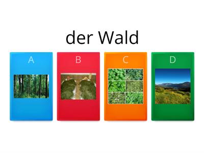 Natur und Landschaft - Wortschatz A2