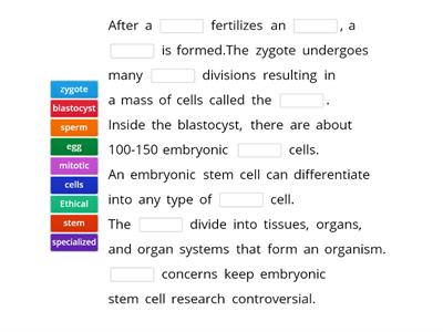  Embryonic Stem Cells