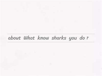 What do you know about sharks?