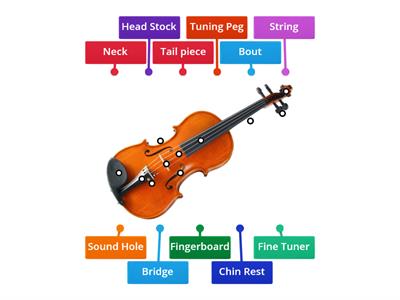 Parts of a Violin
