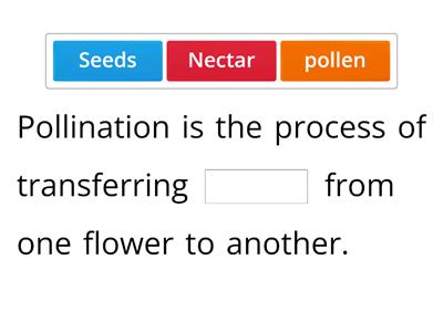 Pollination - choose the correct word