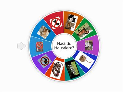 Haustiere - Teaching Resources