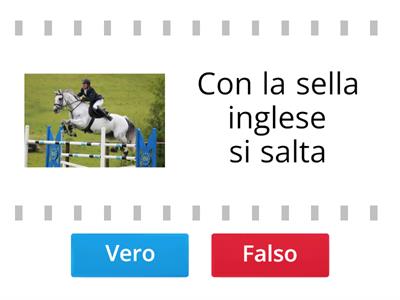 Equitazione 