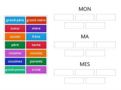 Les adjectifs possessifs (mon, ma, mes) et la famille