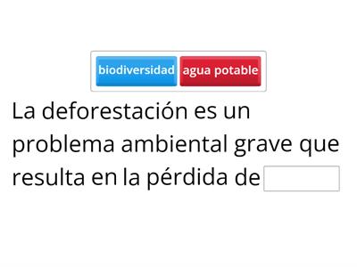 ¡Medio ambiente! 