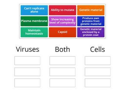 Virus and Cell Comparison