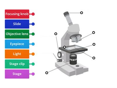 Labelling Microscope