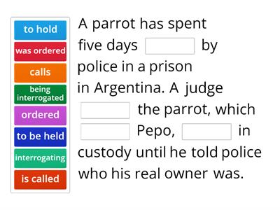 Passive - Parrot held in prison