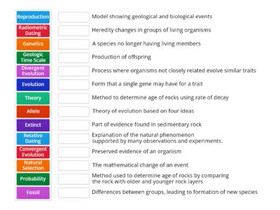 Evolution Terms -- Unit 4