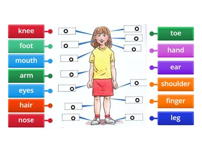 Parts of body