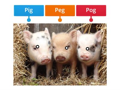 Pig,Pog, and Peg