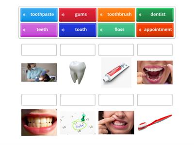 PE Dentist vocabulary