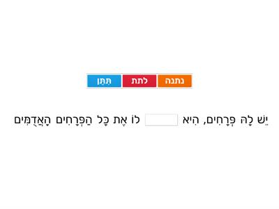 חברים בעברית - חזרה (אוצר מילים ודקדוק