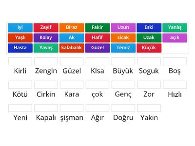 ADJ - Turkish