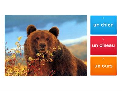 Pre-Quiz for Boucles Violettes et les trois ours vocabulaire