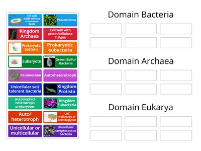 Domain Classification of Living Things
