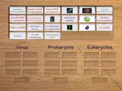 Prokaryote, Eukaryote or Virus
